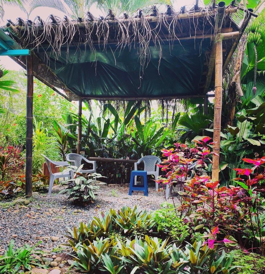 Hidden Jungle Beach House Puerto Viejo de Talamanca Экстерьер фото