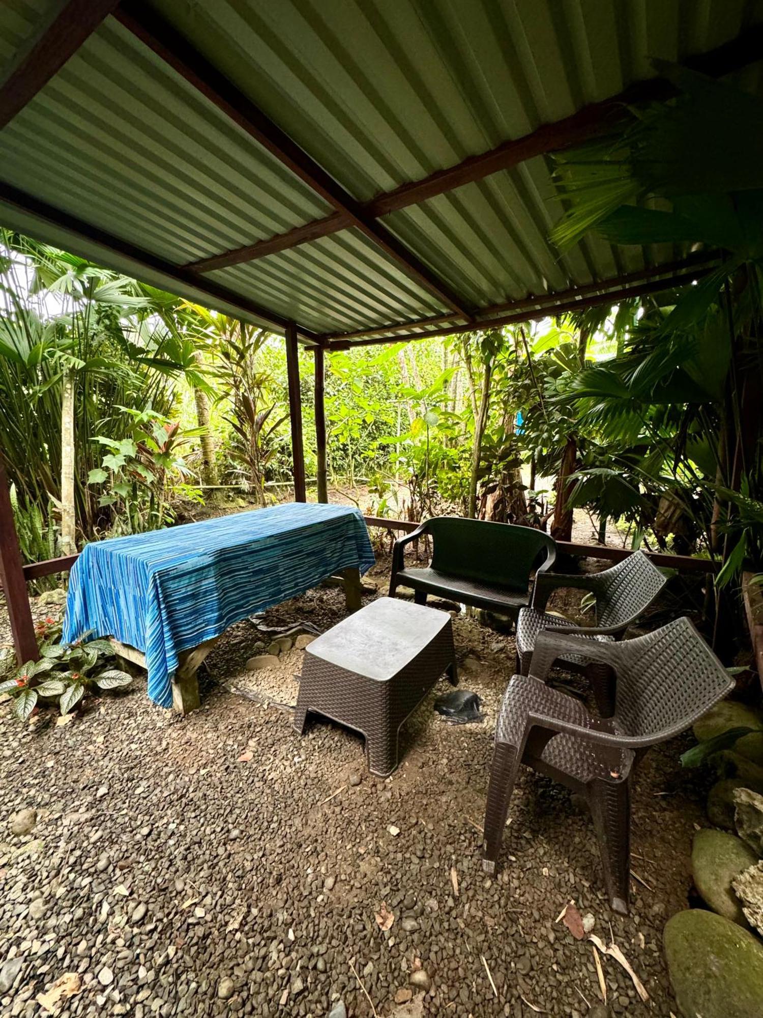 Hidden Jungle Beach House Puerto Viejo de Talamanca Экстерьер фото