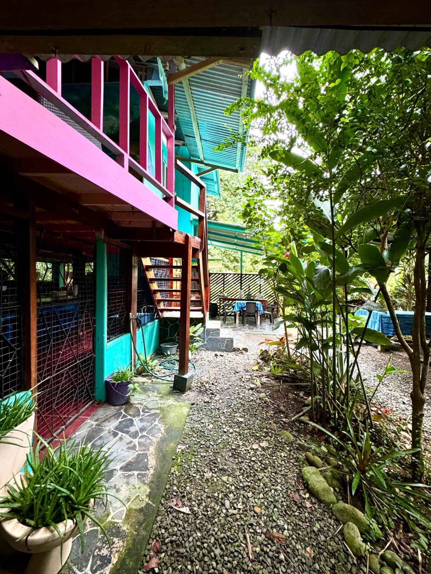 Hidden Jungle Beach House Puerto Viejo de Talamanca Экстерьер фото