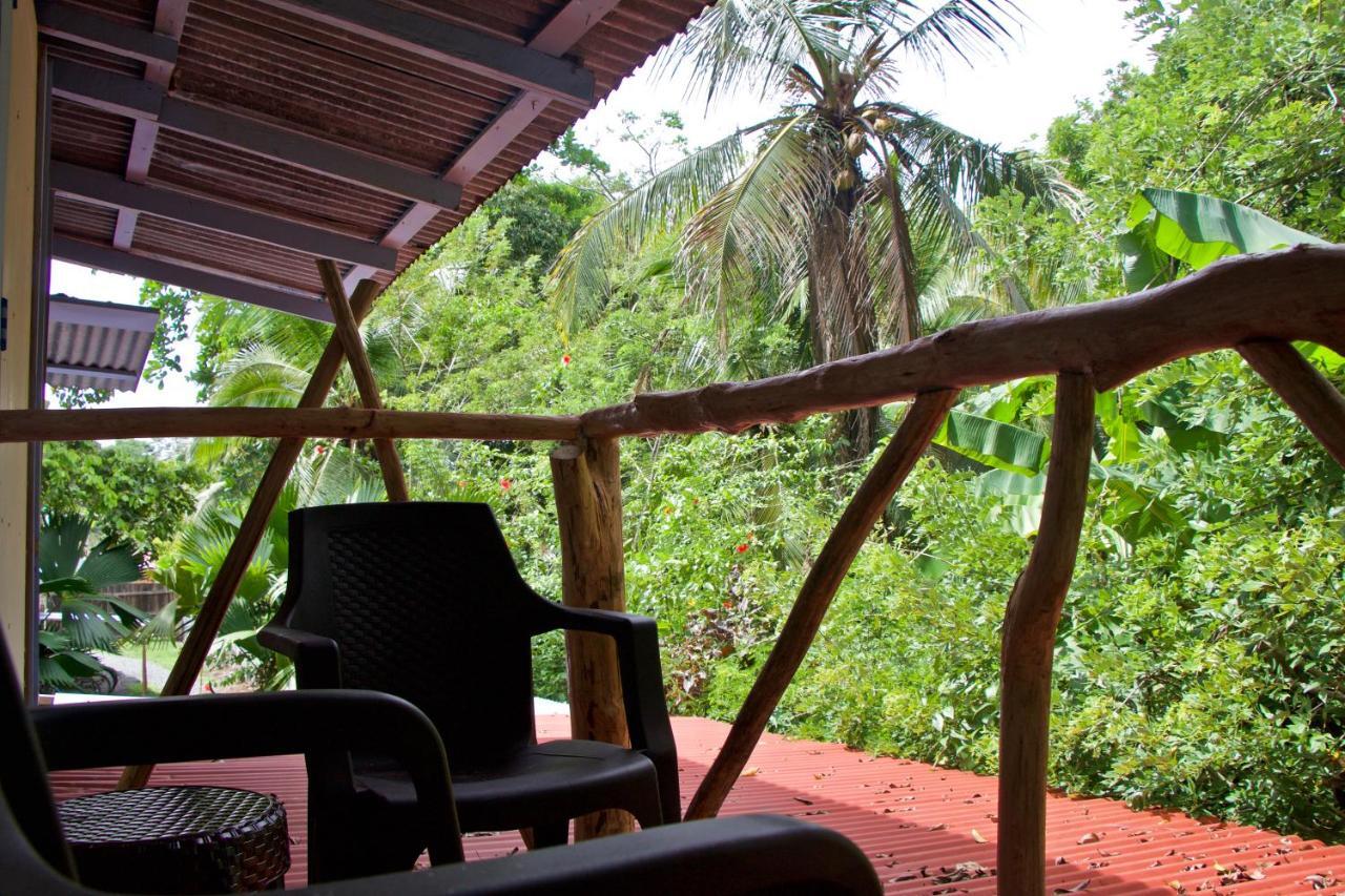Hidden Jungle Beach House Puerto Viejo de Talamanca Экстерьер фото